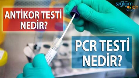 Pcr Testi Nedir Caliberarchive