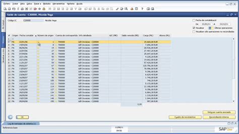 Fundamentos Sap Business One Ejercicio Acceder A Un Asiento