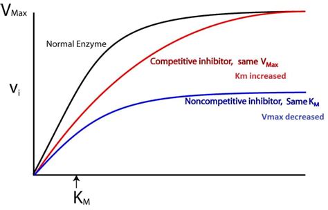 ENZYME INHIBITION - www.medicoapps.org