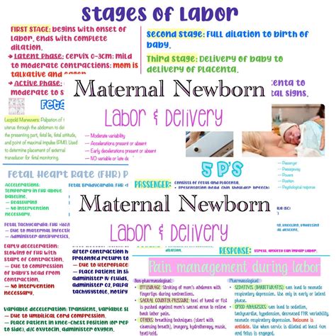 Labor And Delivery Maternal Newborn OB Nursing Notes Etsy