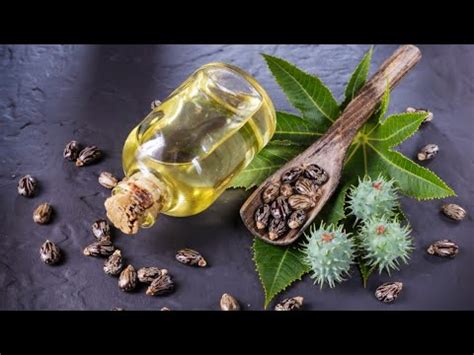 Homemade Castor Oil Made From Scratch YouTube