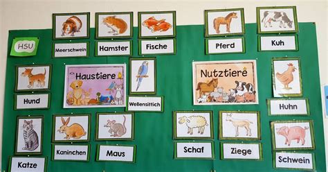 Bildkarten Haustiere Nutztiere Nutztiere Haustier Projekt Haustiere