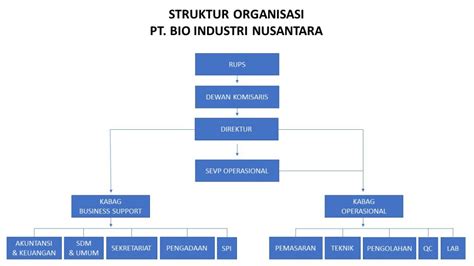 Struktur Organisasi Pt Bio Industri Nusantara Riset