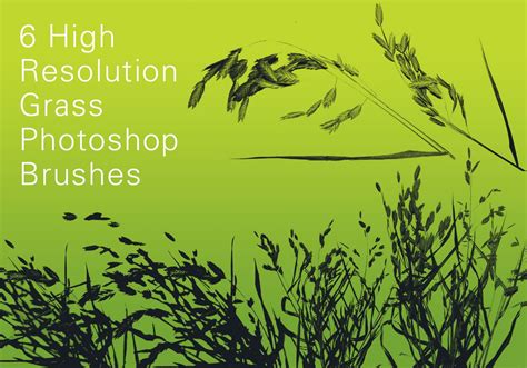 Free 6 High Resolution Grass Brushes