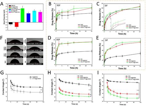 The Surface Interface Behaviors Of S MSN And AT R CMSN A Zeta