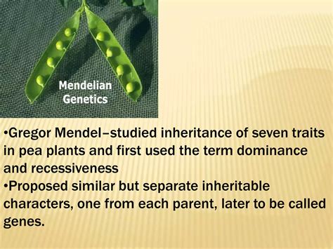 Mendels Laws Of Inheritance Ppt