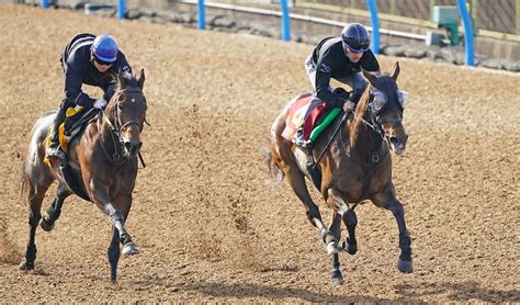 【ヴィクトリアm】グランアレグリア大人の走り ルメール絶賛「全部良かった」― スポニチ Sponichi Annex ギャンブル