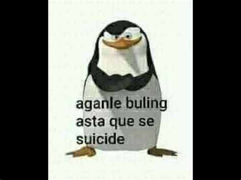 Háganle bulling hasta que se suicide YouTube