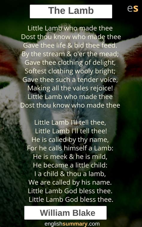 The Lamb Poem by William Blake | History of english literature, Poems, Simple poems