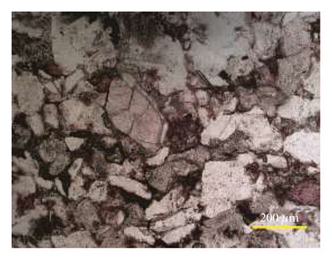 Microscopic Characteristics Of Chang 6 Long Stone Sandstones In