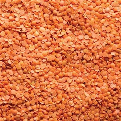 Desi Organic Dried Lal Red Lentil Split Masoor Dal Origin India At