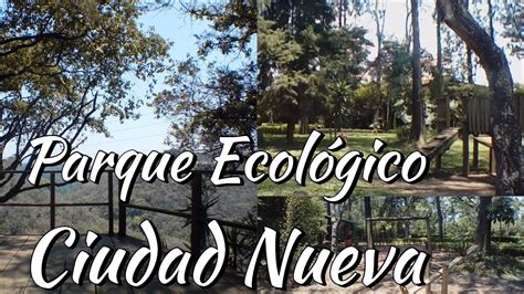 Parque Ecológico Ciudad Nueva zona 2 YouTube