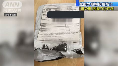 「謎の種が届いた」 全国で相談件数は700件以上