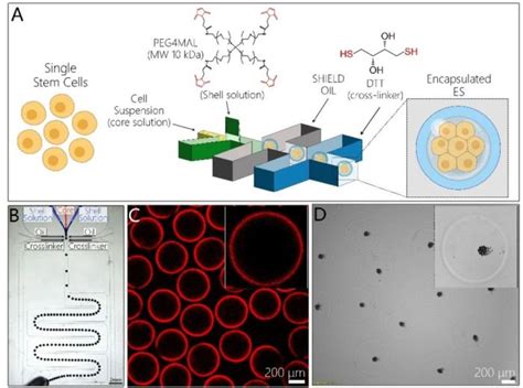 Microfluidic Workbench For On Site Enzymatic Reactions UFluidix