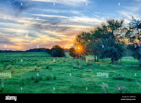 South Carolina Farm Hi Res Stock Photography And Images Alamy