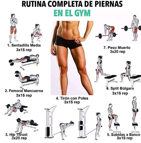 Pin By Pinner On GYM Workout Fitness Gym