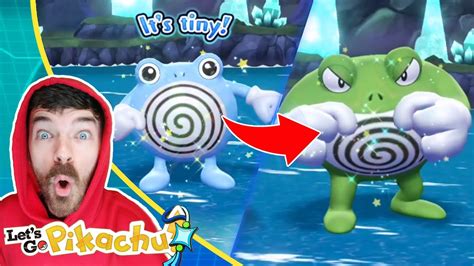 Shiny Poliwag Shiny Poliwhirl Shiny Poliwrath Pokemon Let S Go