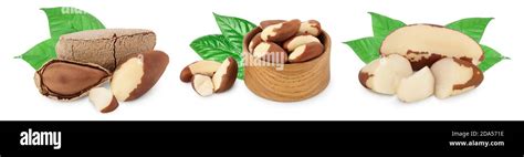 Brasil Nuts In Nutshell Isolated On White Background With Clipping Path