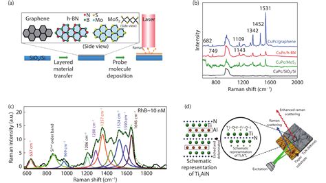 Surface Enhanced Raman Spectroscopy Chips Based On Two Dimensional