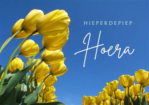 Verjaardagskaart Bloemen Gele Tulpen Kaartje2go