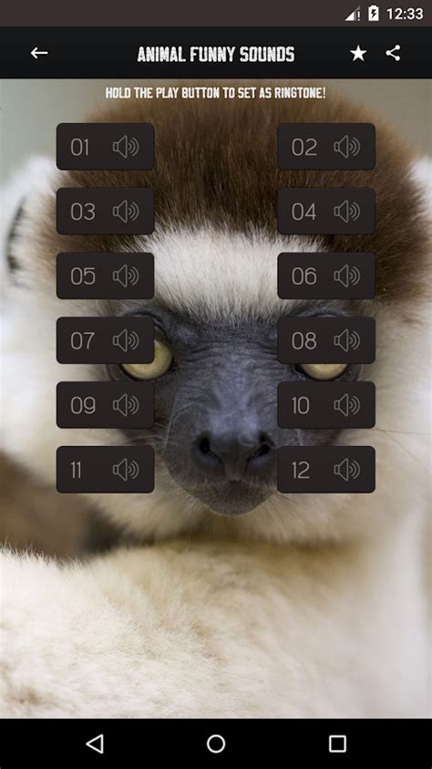 Funny Animal Sounds - Android Apps on Google Play