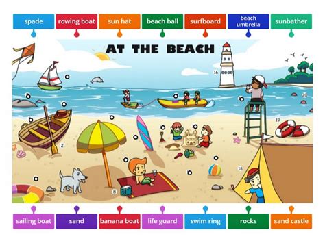 At The Beach Vocab Labelled Diagram