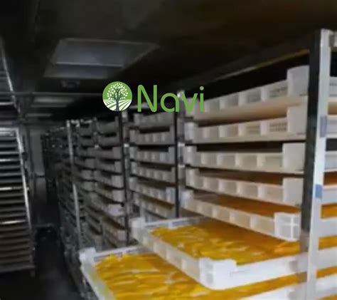 Vietnam Soft Dried Mango For Export Navi Xs