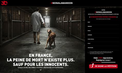 Samedi Juin Journ E Mondiale Contre Labandon Des Animaux De