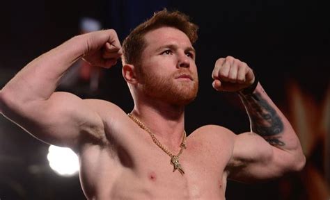 De Cuánto Es La Fortuna De Canelo Álvarez La Suma De Dinero Que Tiene El Boxeador El Destape