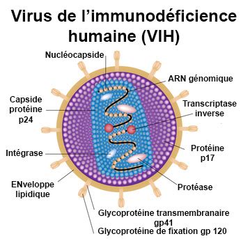 Desktopok Est Un Virus Hellobos