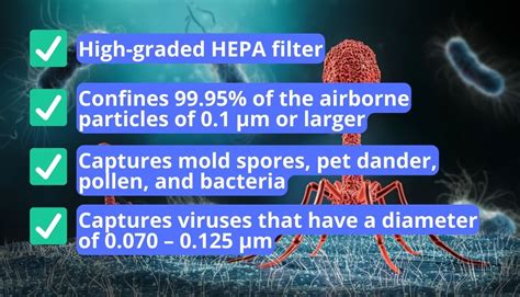 What Is an H13 HEPA Filter? Can It Trap Dangerous Viruses?