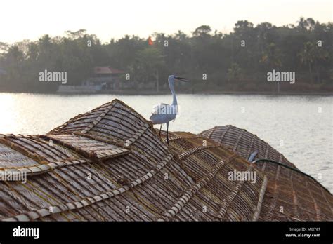 Boating backwater hi-res stock photography and images - Alamy