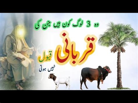 Kin Logon Ki Qurbani Qabool Nahi Hoti Qurbani Ka Janwar Qurbani Ki