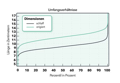 ideale Penisgröße Was ist normal GoSpring