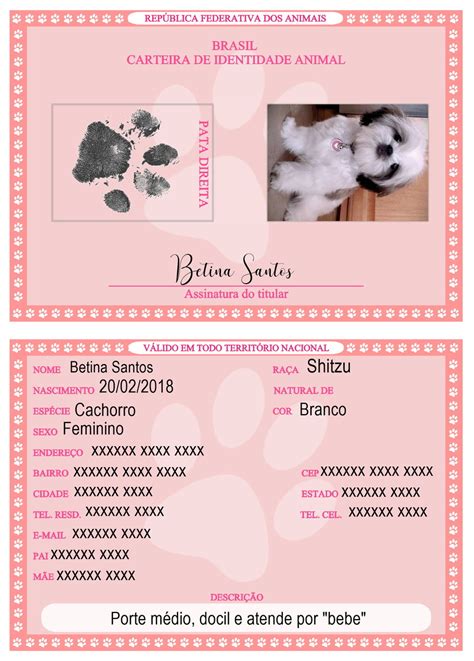 Rg Pet Carteira De Identidade Para Pets Elo