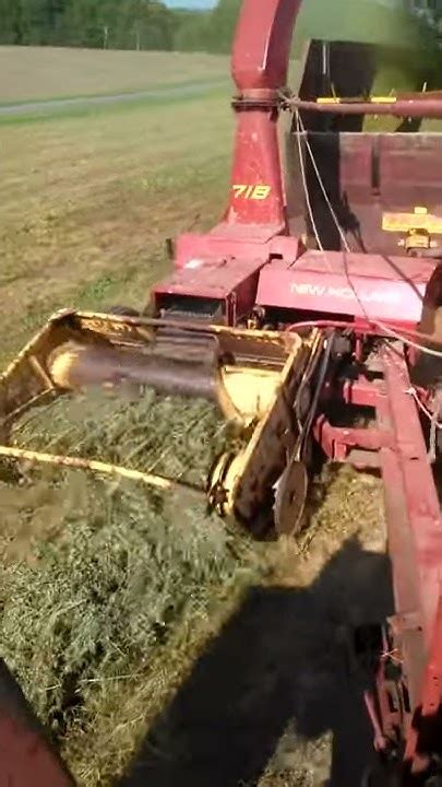 Chopping 1st Cutting Alfalfa Youtube