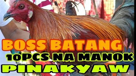 Boss Batang Mga Dalang Manok DiNA Pinatagal Pinadeliver Nalang Sa Suki