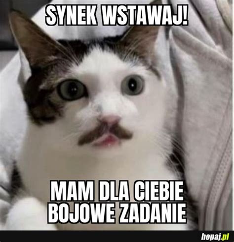 Bojowe Zadanie Hopaj Pl