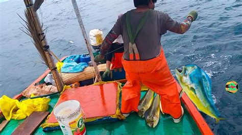 PESCADORES PESCAN GRANDES PERICOS DORADOS IMPRESIONANTE PESCA EN ALTA