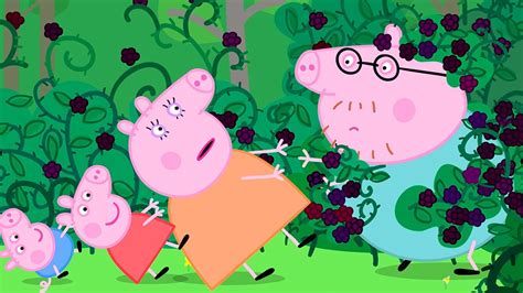 Peppa Pig Official Channel Playgroup Star Youtube