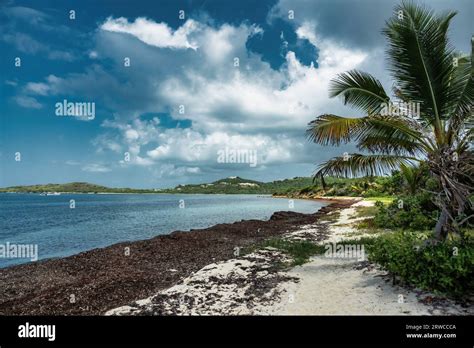 Beach On Saint Croix Island Us Virgin Islands Stock Photo Alamy