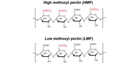 Schematic Of The Heteropolysaccharide Pectin S Chemical Structure