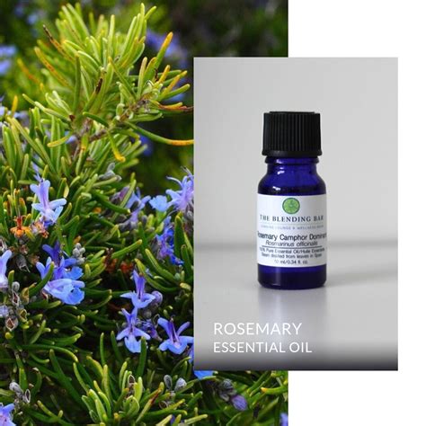 Rosemary Essential Oil The Blending Bar Aromatherapy