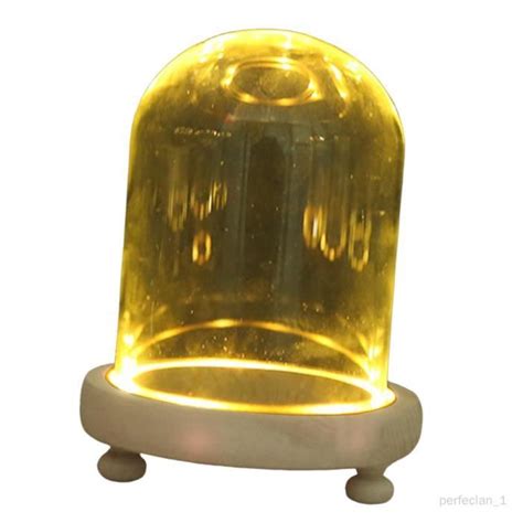 Pr Sentoir Artisanat Vitrine Cloche En Verre D Corative Blanc