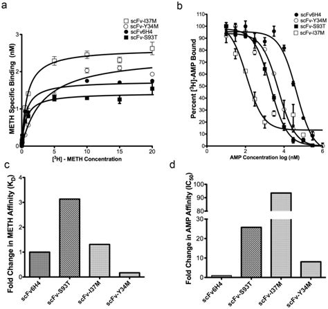 A In Vitro Saturation Binding Analysis To Determine The Specific