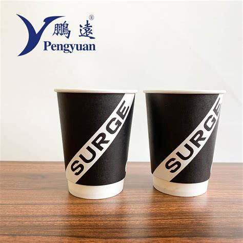 Double Wall Hot Coffee Paper Cup Hot Drinking Paper Cup Beverage Cup