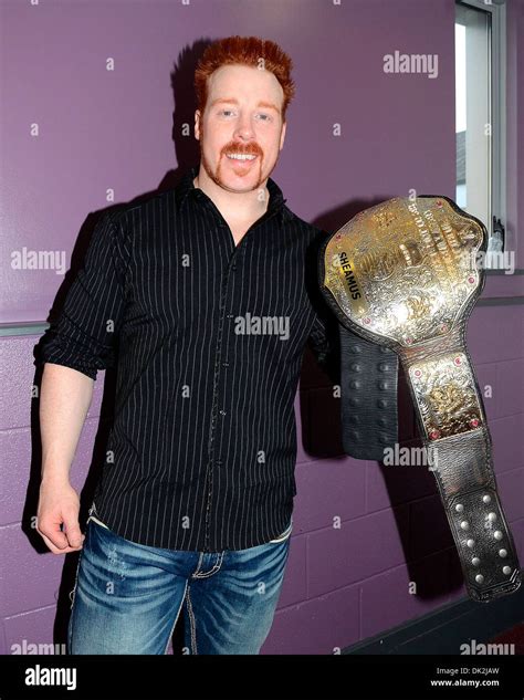 Wwe Superstar Sheamus Retains His World Heavyweight Title In An Epic