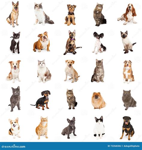 Repeating Pattern Royalty Free Stock Image 69253888