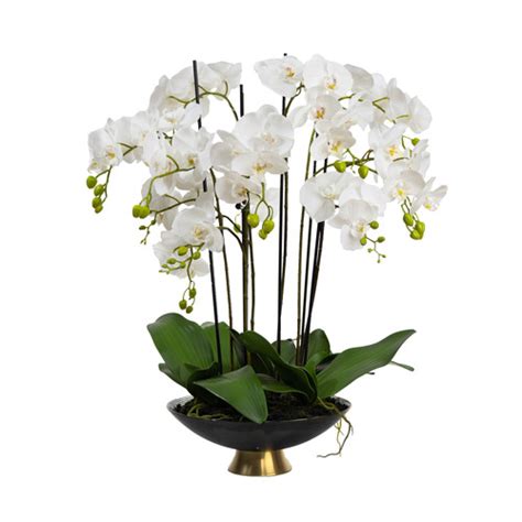 Pollen Fauna 80cm Potted Faux Orchid Plant Temple Webster