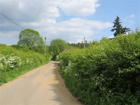 Smithy Lane Near Bordon Malc Mcdonald Geograph Britain And Ireland